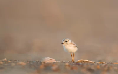 Austin Meditation Q&A by Members – How do I do meditation?